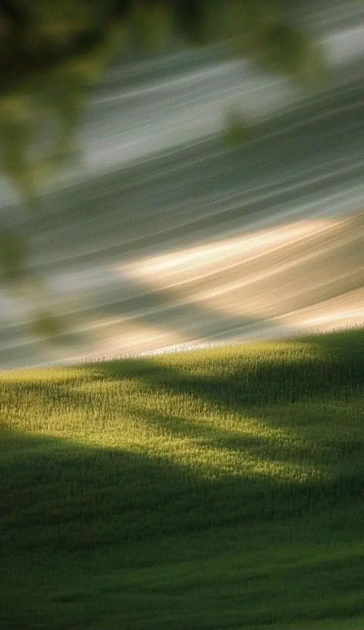 Meadow Light memory card design