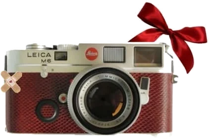 A vintage camera with a red bow