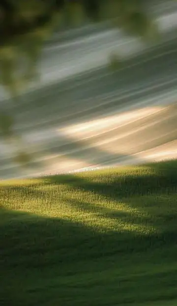 Meadow Light memory card design